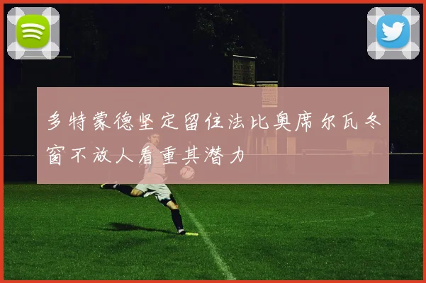 多特蒙德坚定留住法比奥席尔瓦冬窗不放人看重其潜力