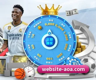 AOA体育 APP 深度功能 | aoasports